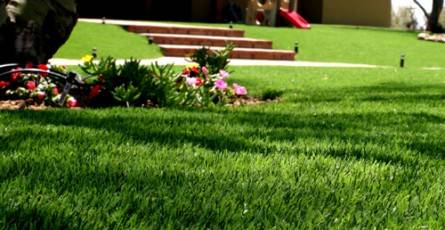 Artificial Lawn Canberra